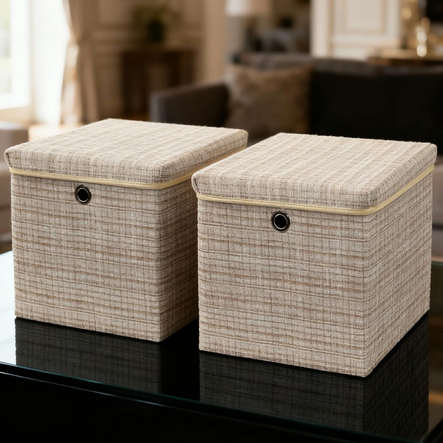 Collapsible Fabric Storage Box with Lid (Set of 2)
